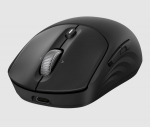 HP 705 Super Capacitor Wireless Mouse - Multi-Device, Programmable, 4-way scrolling, Ultra-Fast Rechargeable, Multi Surface, 6000 dpi - Black