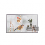 LG | Digital Signage | 55EW5P | 55 " | Landscape/Portrait | 18/7 | webOS | Transparent | 600 cd/m&sup2; | 8 ms | 178 &deg; | 178 &deg;