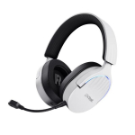 PEAKOMPLEKT WRL GXT491W FAYZO/WHT 25304 TRUST