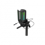 Natec | Microphone | GENESIS Radium 250 | Built-in microphone | USB Type-C | Black