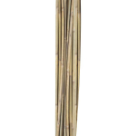 Bambuskepid Home4you IN GARDEN H150cm 10tk D10/12