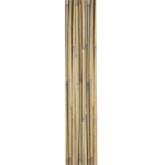 Bambuskepid Home4you IN GARDEN H180cm 10tk D12/14