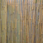 Rull Home4you bambusaed IN GARDEN 1,5x5m, D8/10mm