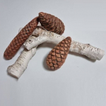 K&uuml;ttepuud kask V