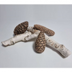 K&uuml;ttepuud kask IV