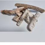 K&uuml;ttepuud kask II