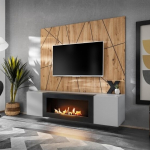 ASM PGAS XR G2-K sektsioon biokaminaga