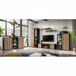 ASM CAMERON K sektsioon biokaminaga