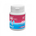 Vetfood UroForce toidulisandid koertele ja kassidele, reguleerivad ja toetavad kuseteede funktsioone, 30 kapslit