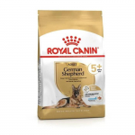 Royal Canin German Shepherd Senior Adult 5+ kuivtoit vanematele saksa lambakoertele, 12 kg
