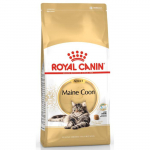 Royal Canin Maine Coon Adult kuivtoit Maine cooni t&otilde;ugu kassidele, 0,4 kg