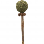 Trixie m&auml;nguasi kassidele, kassi ja matatabi palliga, 11 cm