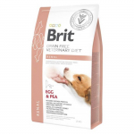 Brit GF Veterinary Diets Dog Renal teraviljavaba kuivtoit koertele neerupuudulikkusega, 2 kg