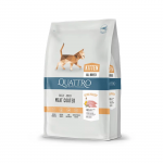Quattro Kitten kassi kuivtoit rohke linnulihaga, 1,5 kg