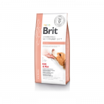Brit GF Veterinary Diets Dog Renal teraviljavaba kuivtoit koertele neerupuudulikkusega, 12 kg