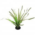 Terraariumi kaunistus: Repti Planet Spartina muru, 30 cm
