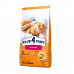 CLUB 4 PAWS Premium T&auml;iss&ouml;&ouml;t t&auml;iskasvanud kassidele vasikalihaga, 14 kg
