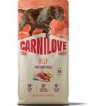 Carnilove True Fresh Beef teraviljavaba kuivtoit koertele, 4 kg