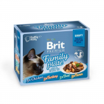 Brit Care Cat Delicate Fillets in Gravy Family Plate m&auml;rgtoit kassidele, 12x85 g