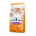 CLUB 4 PAWS Premium Urinary Health T&auml;iss&ouml;&ouml;t t&auml;iskasvanud kassidele kuseteede toetamiseks, 14 kg