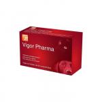 JT Pharma Vigor Pharma vitamiinide, mikroelementide, mineraalide ja aminohapete kompleks koertele ja kassidele, 60 tabletti