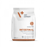 VetExpert Veterinary Diet Intestinal Kuivtoit seedeh&auml;iretega kassidele, 250 g