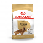 Royal Canin Cocker Adult kuivtoit kokkerspanjeli koertele, 3 kg