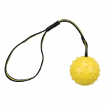 Trixie kummipaelaga pall