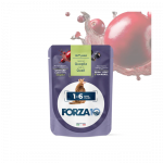 Forza 10 Adult Pasteet kassidele vanuses 1-6 aastat, vutilihaga, 80 g