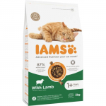 Kuiv kassitoit - IAMS CAT ADULT LAMB, 3 kg