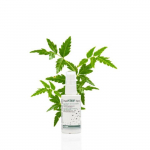 Dogoteka DogoSTOP Loomakarvade kaitsesprei, 50 ml