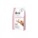 Brit GF Veterinary Diets Dog Hypoallergenic teraviljavaba kuivtoit koertele, need, kellel on dermatoloogilised ja seedeprobleemid, 2 kg