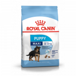 Royal Canin Maxi Puppy kuivtoit suurt t&otilde;ugu kutsikate jaoks, 4 kg