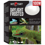 Terraariumi lambipirn: Repti Planet Bulb Daylight Frosted 100W