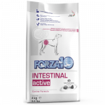 Forza10 Intestinal Active kuivtoit seedetraktihaigustega koertele, 4 kg
