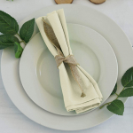 Riidest salvr&auml;tikud &scaron;ampanja v&auml;rvi 40x40 (10 tk)