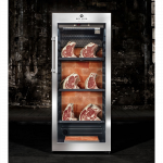 Laagerdumiskapp - DRY AGER DX 1000 Premium S koos LED soolaseinaga Roostevaba