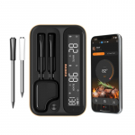 Juhtmevaba 2 sondi termomeeter INT-12-BW