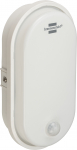 Valgusti Brennenstuhl OL 1650 P; LED