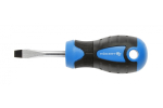 Lapik kruvikeeraja Hogert HT1S010; SL6,5; 38 mm