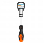 Lapik kruvikeeraja Richmann C5423; SL5; 100 mm