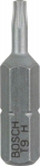 Kruviotsik Bosch Security-Torx; T9H; 25 mm; 2 tk
