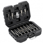 Kruvide eemaldamise komplekt Yato YT-04584; 19 tk
