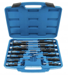Kruvikeerajate komplekt SATRA S-S12PC; 12 tk