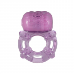 Vibreeriv r&otilde;ngas P&auml;&auml;stja