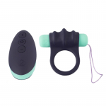 Vibreeriv peeniser&otilde;ngas Kontroll