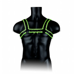 Keharakmed Chest Bulldog