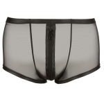 Meeste alusp&uuml;ksid Kire v&otilde;rgustik