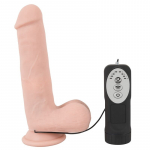 Pulseeriv vibraator &Scaron;elmis