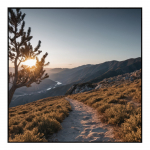 Maal 50x50 cm Mountain Path